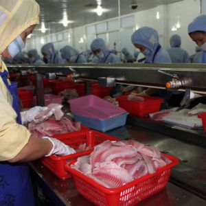 ��ɽ�ۿ��(zh��n)�_���~���Ρ�������