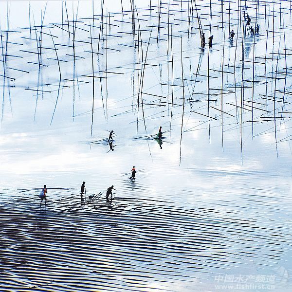 ϼ�֡��Ї�(gu��)�ϲ�֮�l(xi��ng)[�D��ˮ�a(ch��n)]