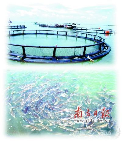 �V�|����(j��ng)��(j��)�^�m(x��)�I(l��ng)�� ����Ⱦˮ��p����