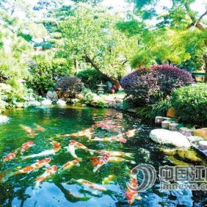 �I(y��)�߽��Խ��T(m��n)�\���I(y��)�����и߶�·�� ������Ʒ�\��