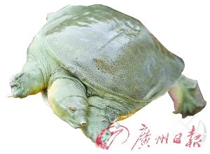 ���M�a(ch��n)�I(y��)(li��n)����ʳ ��a(ch��n)�I(y��)ע������