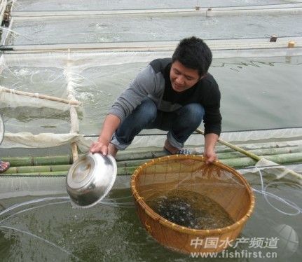 ���|�˹������p�� ���~�r����m(x��)����