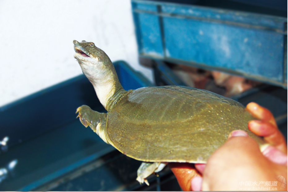 혵¼��~���ξ�����˼׃