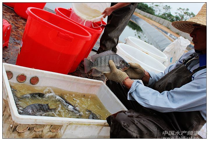 2012���_������֮׃