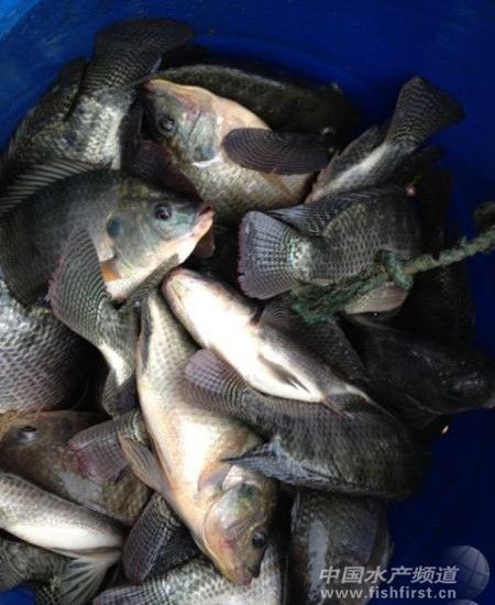 �_���~��2013���_������к�����