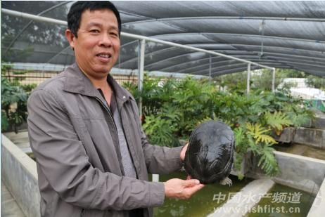 �B(y��ng)ֳ�V�|�������X�����V�