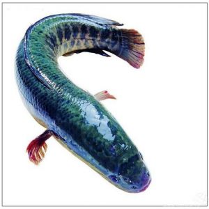 ���T���A�������~������ِ