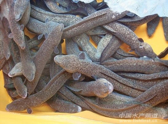 ������2013���Ј�(ch��ng)����ƽ��(w��n)��B(t��i)