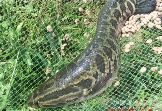 ���~���r(ji��)����ԣ��B(y��ng)ֳ���A(y��)���p��