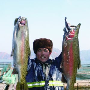 �D��ˮ�a(ch��n)���ຣʡ�q�V�~�a(ch��n)�I(y��)����