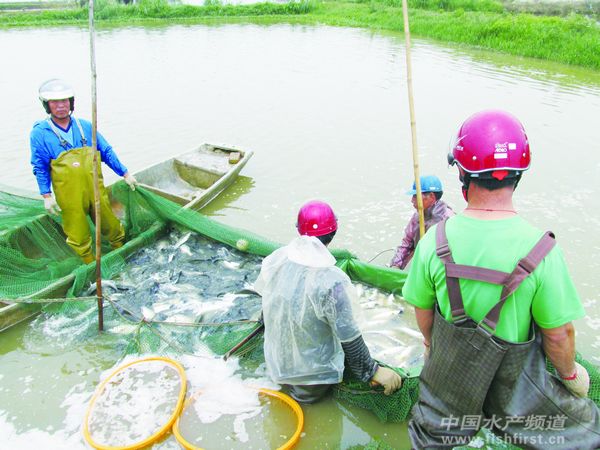 �麣���|���ݻ���