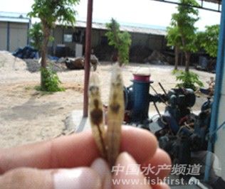 ه�����F(tu��n)�(du��)��EMS�l(f��)�����c(di��n)������