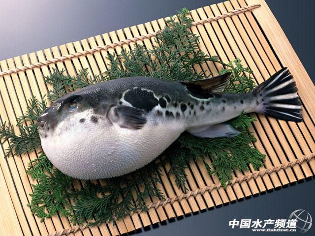 2013ȫ�������B(y��ng)ֳ�s4.4�f�� �V�|�����p�a(ch��n)