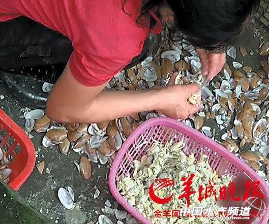 �V�ݺ������ӹ��������ף�����(sh��)�N���Ƙ�