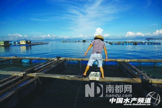 �ϰ��p���a�^�B(y��ng)ֳ�����˹���B(y��ng)��ʯ���~��ʯ���~���L�����L�����~�絽�L������������Գ��ۣ�������Ҫ����r�g��