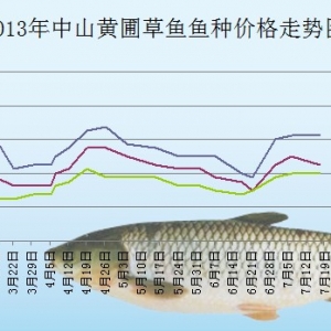 2013��7��6��-18����ɽ�S�Բ��~�N���^�r(ji��)