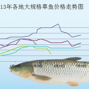 2013��7��6��-18�ո��؅^(q��)��Ҏ(gu��)����~���^�r(ji��)