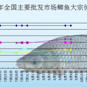 2013��8��8��ȫ����Ҫ���l(f��)�Ј��a�~�r������