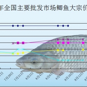 2013��8��12��ȫ��(gu��)��Ҫ���l(f��)�Ј�(ch��ng)�a�~�r(ji��)������