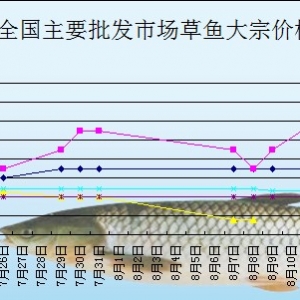 2013��8��15��ȫ����Ҫ���l(f��)�Ј����~�r(ji��)������