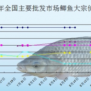 2013��8��15��ȫ����Ҫ���l(f��)�Ј��a�~�r(ji��)������