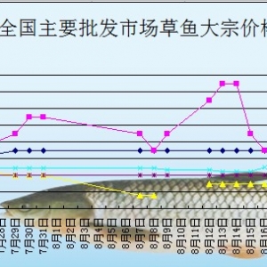 2013��8��16��ȫ����Ҫ���l(f��)�Ј����~�r(ji��)������