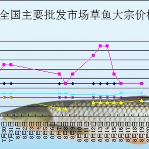 2013��8��19��ȫ����Ҫ���l(f��)�Ј����~�r(ji��)������