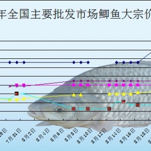 2013��8��19��ȫ��(gu��)��Ҫ���l(f��)�Ј�(ch��ng)�a�~�r(ji��)������