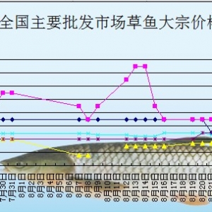 2013��8��23��ȫ����Ҫ���l(f��)�Ј����~�r(ji��)������