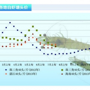 ���r���B(y��ng)ֳ������e�O�Բ��ߡ���ˮ�a(ch��n)ǰ�ء�2013��8�¿��Ј�څ��