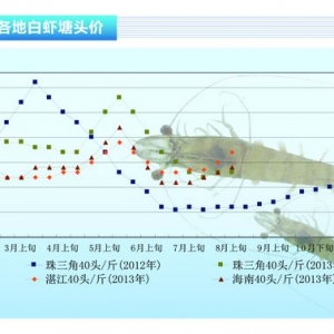 ���r����Ʒ�r����(y��ng)���@�o������ˮ�a(ch��n)ǰ�ء�2013��9�¿��Ј�څ��