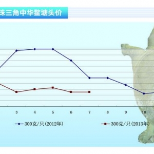 ���~��7���Ҽ��~�r(ji��)�����fȫ�ИI(y��)̝�p����ˮ�a(ch��n)ǰ�ء�2013��8�¿��Ј�څ��