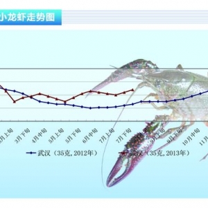 С���r���YԴ�T�� �r���߸ߡ���ˮ�a(ch��n)ǰ�ء�2013��9�¿��Ј�څ��