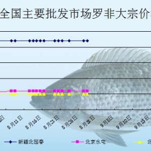 2013��8��28��ȫ����Ҫ���l(f��)�Ј��_���~�r������