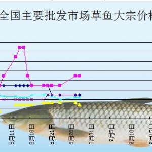 2013��8��28��ȫ����Ҫ���l(f��)�Ј����~�r������