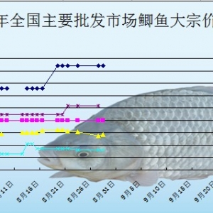 2013��8��28��ȫ��(gu��)��Ҫ���l(f��)�Ј�(ch��ng)�a�~(y��)�r(ji��)������