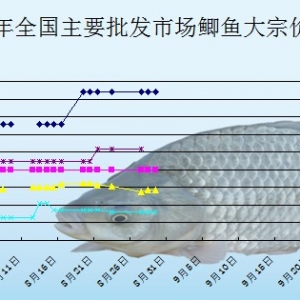 2013��8��29��ȫ����Ҫ���l(f��)�Ј��a�~�r������