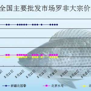 2013��8��30��ȫ����Ҫ���l(f��)�Ј��_���~�r������