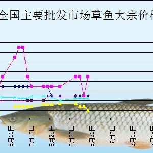 2013��8��30��ȫ����Ҫ���l(f��)�Ј����~�r������