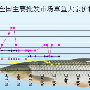 2013��9��2��ȫ����Ҫ���l(f��)�Ј����~�r������