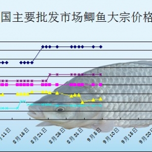 2013��9��4��ȫ����Ҫ���l(f��)�Ј��a�~�r������