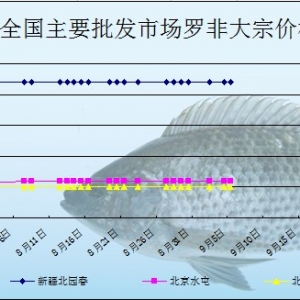 2013��9��5��ȫ����Ҫ���l(f��)�Ј��_���~�r������