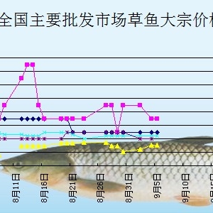 2013��9��5��ȫ����Ҫ���l(f��)�Ј����~�r������