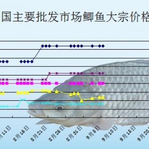 2013��9��5��ȫ����Ҫ���l(f��)�Ј��a�~�r������