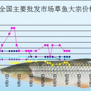 2013��9��6��ȫ����Ҫ���l(f��)�Ј����~�r������