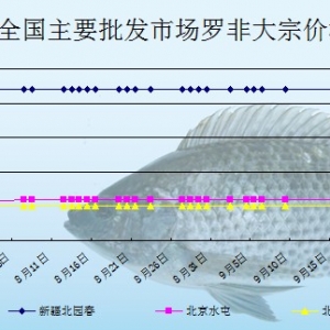 2013��9��17��ȫ��(gu��)��Ҫ���l(f��)�Ј�(ch��ng)�_���~�r(ji��)������