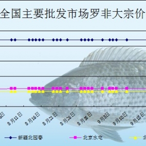 2013��9��29��ȫ��(gu��)��Ҫ���l(f��)�Ј�(ch��ng)�_���~�r(ji��)������