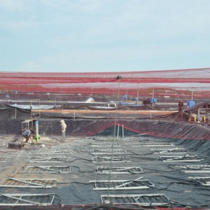 �Ĵ��r����I(y��)���еČ�(du��)�rδ��