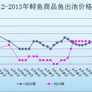 2013��10��8��ɽ�|ұԭ�؅^(q��)�\�~(y��)�r(ji��)������