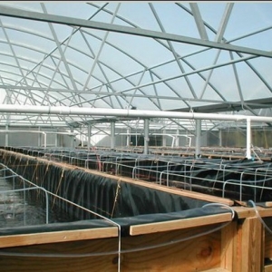 SIS����l(f��)���ܽ^���r �Ї��H�r�r���������